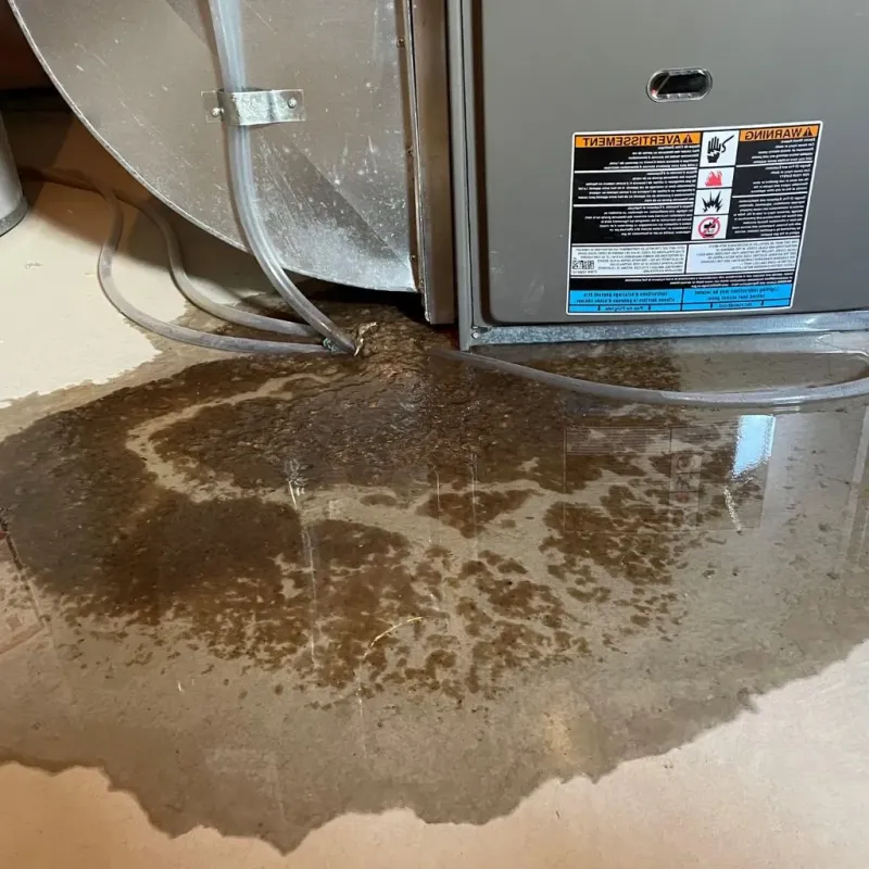 Pipe Burst and Leak Restoration in Washington Park, IL