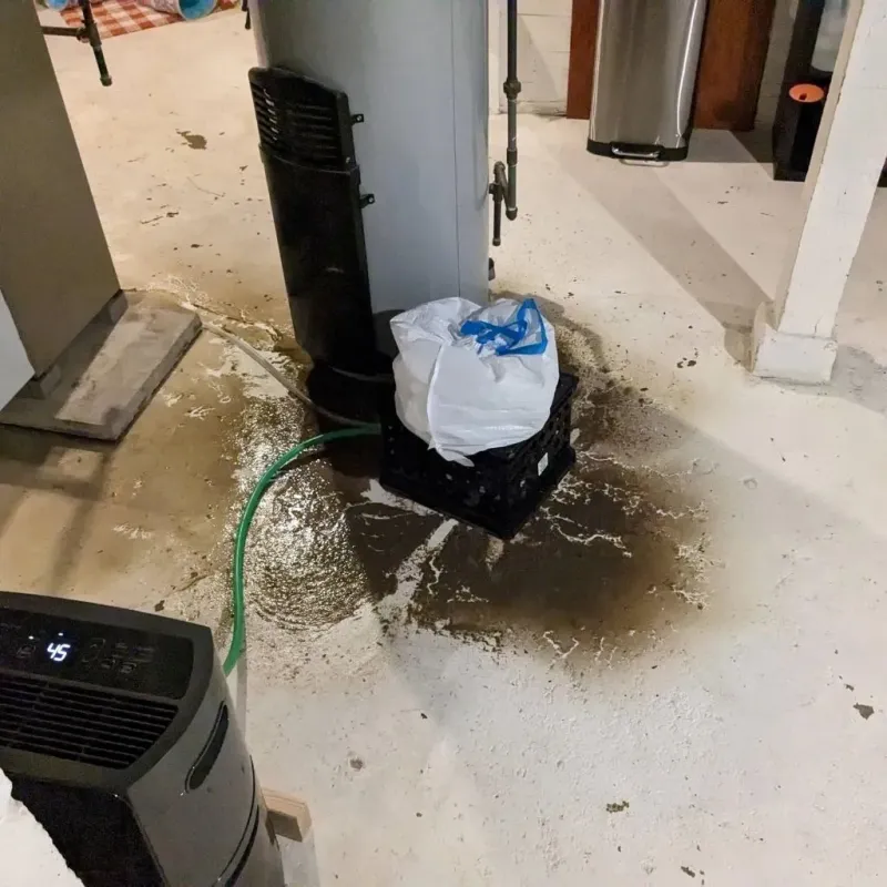 Sewage Backup Cleanup Service in Washington Park, IL